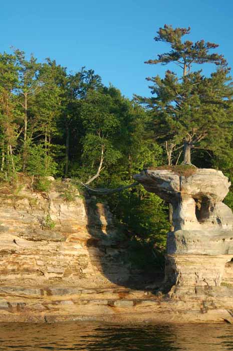 lone tree on Chapel Rock